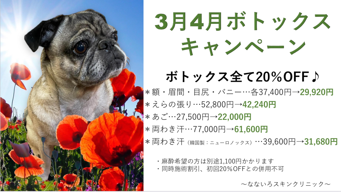 2024.1.17　1月キャンペーン