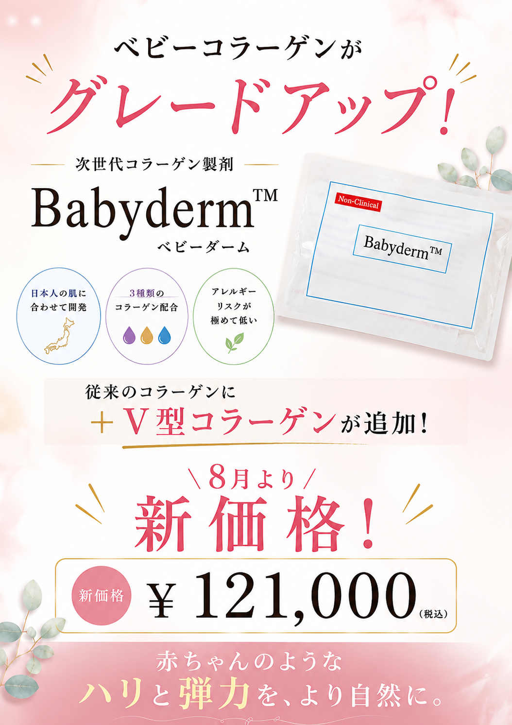 2024.1.17 1月キャンペーン